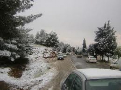 Images 7